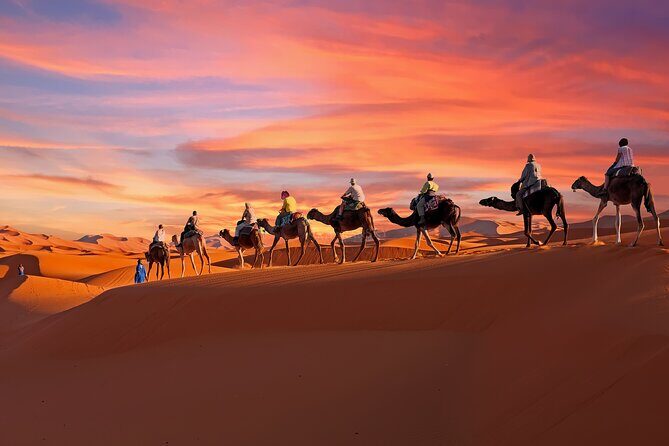 2-Day Tunisia Sahara Desert Camel Trek from Douz - Key things that make this Douz trek work
