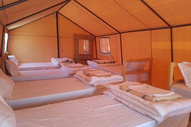 2-Day Tunisia Sahara Desert Camel Trek from Douz - Why Douz is the best launch pad for a short Sahara camel overnight