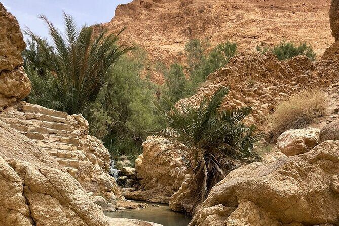 2 Days Tour of the Sahara from Hammamet - Tamezret viewpoint: green tea with rosemary and the hilltop feel