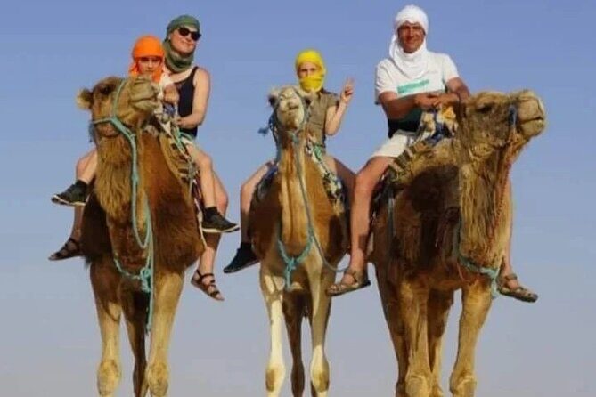 2 Days Tour of the Sahara from Hammamet - Entering El Jem’s Amphitheatre: the “Coliseum of Africa” moment