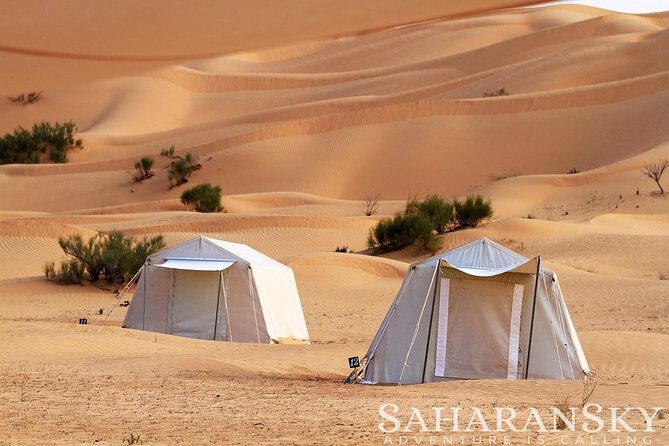 2 Days Tunisia Sahara Desert Buggy Safari Adventure - Why Douz is the launch point for desert adrenaline