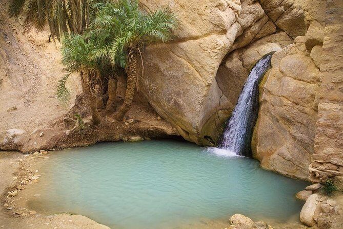 3-Day South of Tunisia Guided Tour from Tunis - Tozeur oasis town: palms, sun-dried brick, and easy Star Wars context