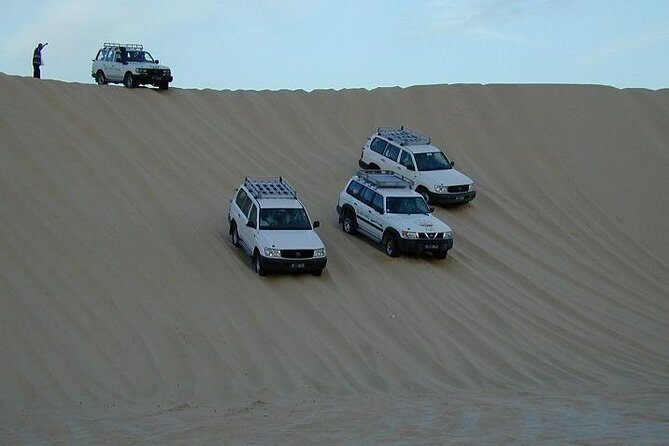 3-Day South of Tunisia Guided Tour from Tunis - Tamerza waterfalls and canyon edges: green pauses between the desert stops
