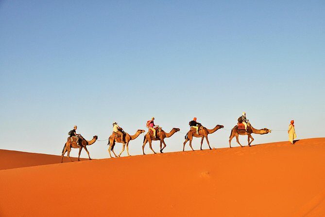 3-Day Tunisia Sahara Desert Camel Trek from Douz - Day 1: golden dunes, lunch by the chef, and a night with fire drumming