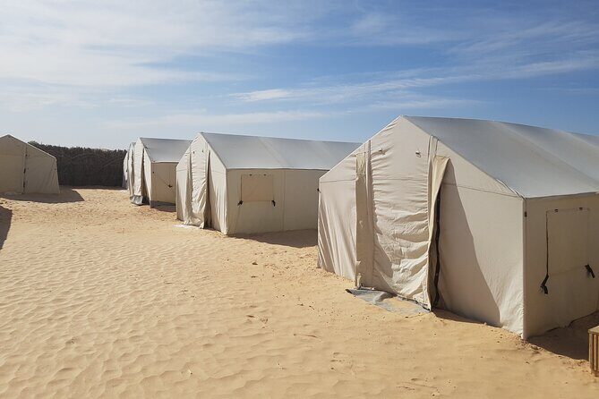 3-Day Tunisia Sahara Desert Camel Trek from Douz - Day 3: coffee-smell mornings and back to Douz by late morning
