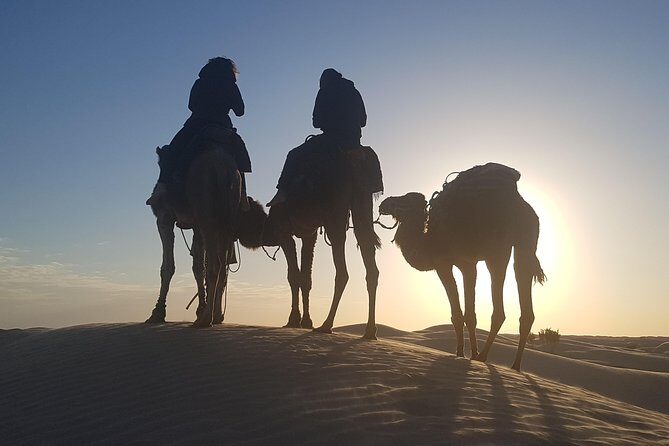 3-Day Tunisia Sahara Desert Camel Trek from Douz - Food and culture: Berber vs Bedouin meals you can actually tell apart