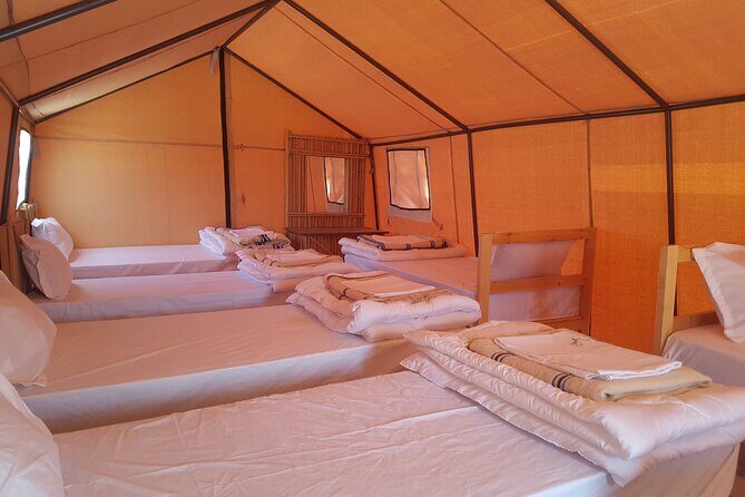 3-Day Tunisia Sahara Desert Camel Trek from Douz - Day 2: sunrise riding, Bedouin lunch prep, and sunset from the dunes