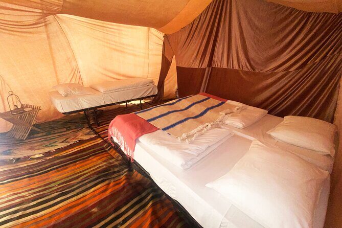 3 Days South Tunisia Discovery Tour with luxury camp and Meals - Price and Value: What $1,000 Buys You Here
