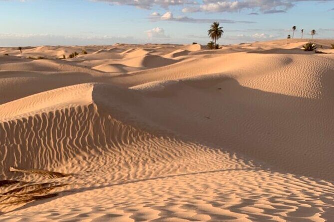7 Day Guided Tunisia Tour Including Pickup - Key highlights you’ll actually feel