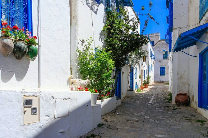 Ancient Carthage and Sidi Bou Said Half Day Tour with Lunch - Who This Tour Fits Best