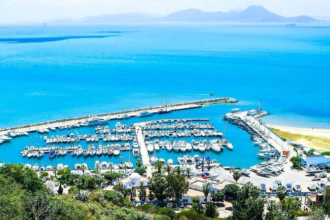 Ancient Carthage and Sidi Bou Said Half Day Tour with Lunch - Carthage Ruins: Baths of Antoninus, Amphitheatre, and the Tophet
