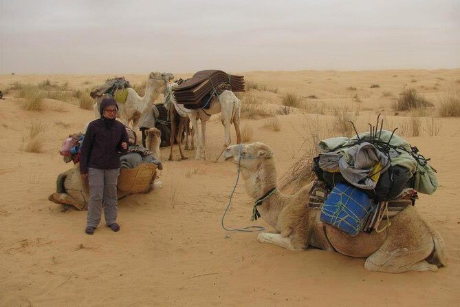 Camel ride and 1 night in the desert - Key things you’ll notice fast