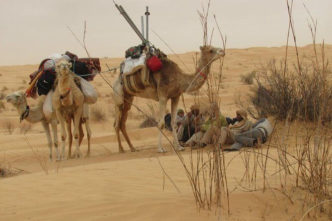 Camel ride and 1 night in the desert - Tozeur to the Desert: How the 2-Day Camel Trek Really Feels