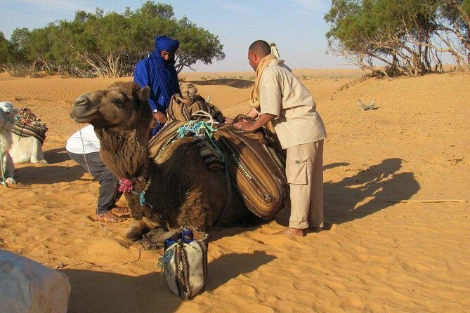 Camel ride and 1 night in the desert - Camel Ride Across the Dunes: The Part You Pay For