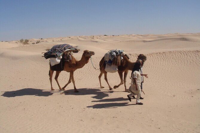 Camel ride and 1 night in the desert - The Value Math: Is $207.20 a Good Deal?