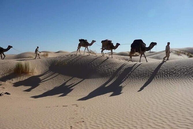 Camel ride and 1 night in the desert - What to Expect From Timing, Weather, and Comfort