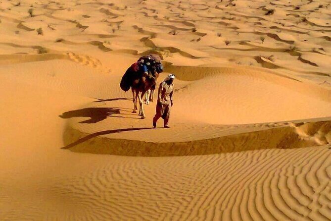 Camel ride and 1 night in the desert - Who This Safari Is Best For (and Who Should Rethink It)