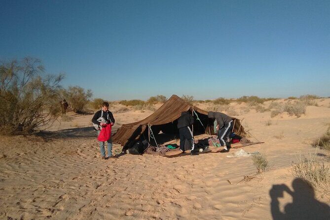 Camel ride and 1 night in the desert - Chott Djerid Salt Lake: The Stop That Adds Shape to the Trip