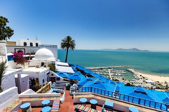 Carthage, Bardo Museum, Sidi Bou Said and Medina Private Day Tour - Carthage Highlights: Byrsa Hill Views, Aqueducts, and Antoninus’ Baths
