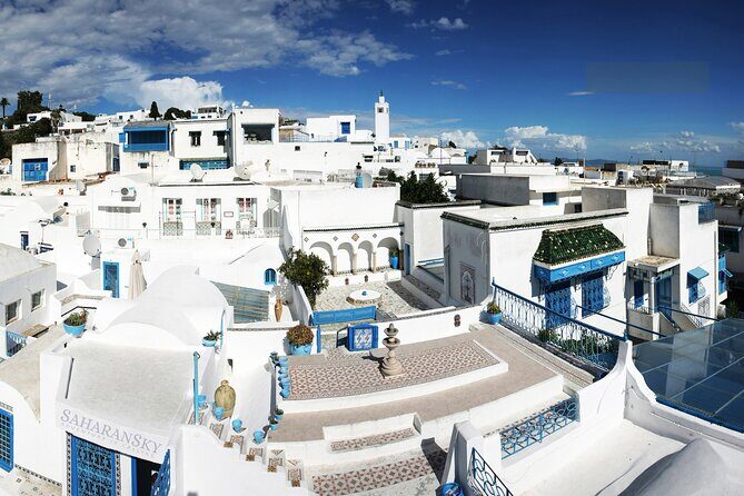 Carthage, Bardo Museum, Sidi Bou Said and Medina Private Day Tour - Sidi Bou Said: Blue-and-White Streets and Coastal Time