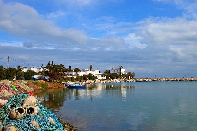 Carthage Discovery Half-Day Tour with Licensed Guide - Price and value: what you’re really paying for at $94.90
