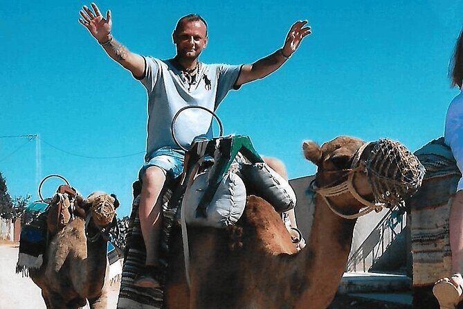 Cultural Experience of Bedouin Village in Mahdia - Price and Logistics: Is $35.14 Worth It Here?