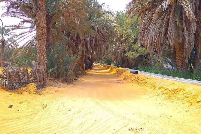 Day Trip in Ksar Ghilane with Lunch and Pickup - Key things that make this trip worth your time