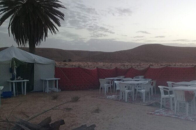 Day Trip in Ksar Ghilane with Lunch and Pickup - Lunch in the oasis: value you can count on