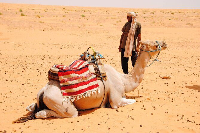 Day Trip in Ksar Ghilane with Lunch and Pickup - Timing, group size, and how to pace your energy