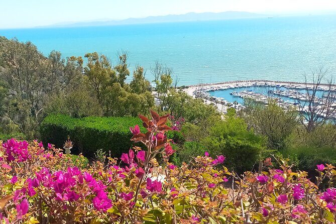 Daytrip Carthage Sidi Bousaid Bardo and Tunis Medina - A tight itinerary that actually tells a story