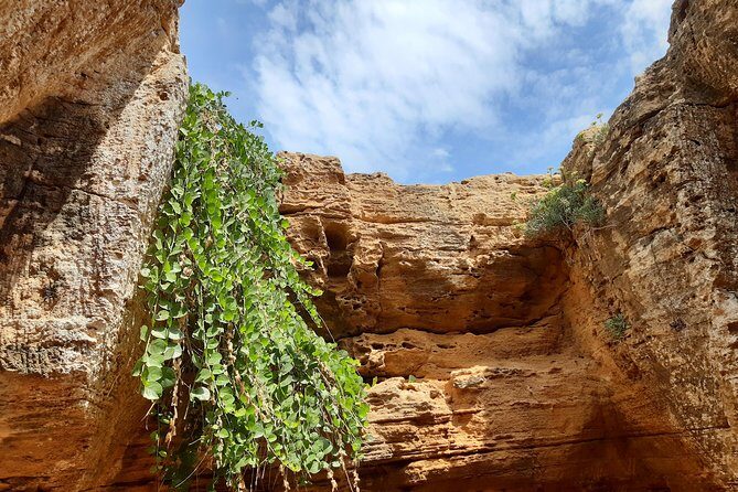 Daytrip to Kerkouen Unesco Site Kelibia and Houaria Caves - Key things to know before you go