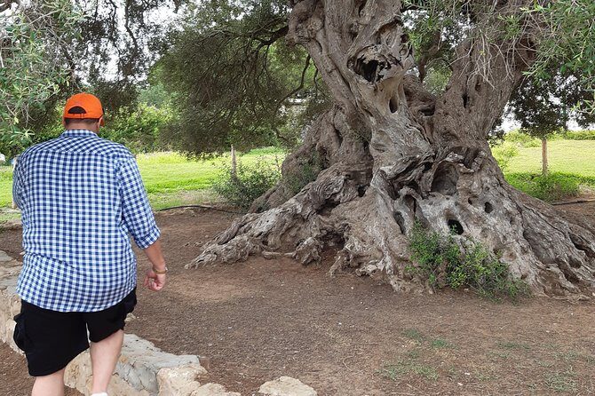 Daytrip to Kerkouen Unesco Site Kelibia and Houaria Caves - The private vehicle, Wi‑Fi, and the pace of a 7–9 hour day