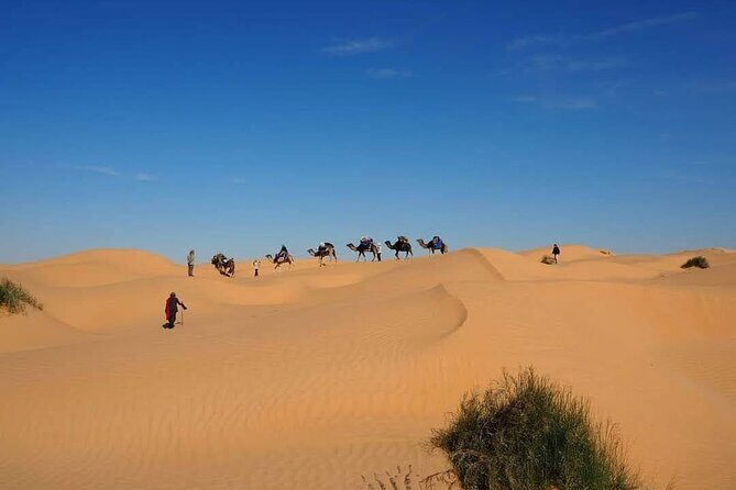 Desert tours and adventurous camel trekking through the Sahara - Price, time, and what you’re actually paying for