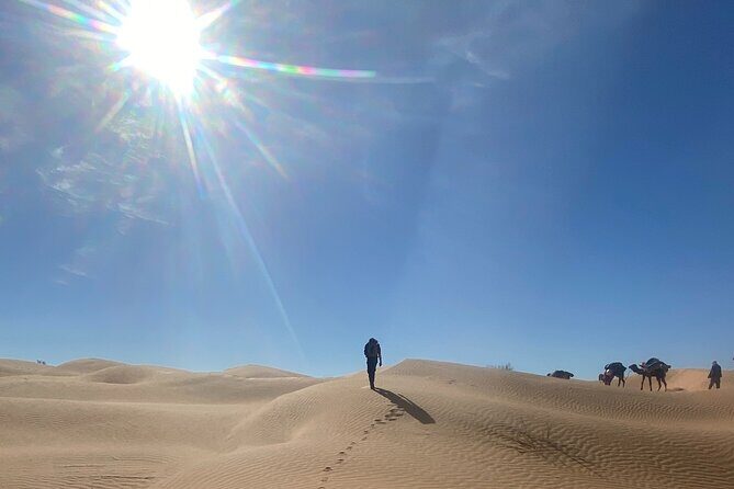 Desert tours and adventurous camel trekking through the Sahara - The ferry back to Djerba and the Mediterranean reset