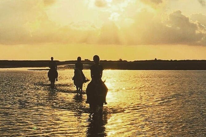 Discovery ride on horseback or camel 2h30 - Key highlights you should care about