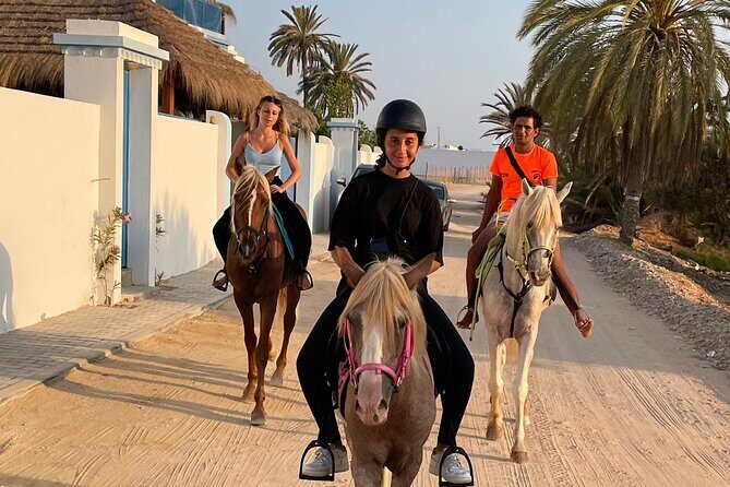 Discovery ride on horseback or camel 2h30 - Berber villages on the other side of the island