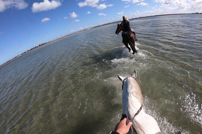 Discovery ride on horseback or camel 2h30 - Reaching the lagoon: why this part is the big moment