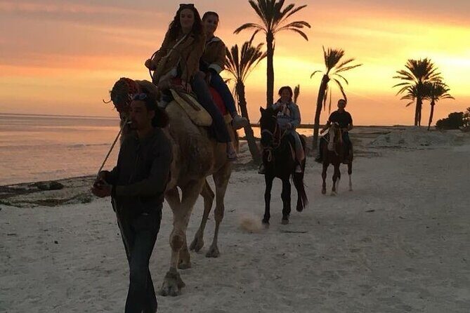 Discovery ride on horseback or camel 2h30 - Horse vs camel: choosing what matches your comfort and curiosity