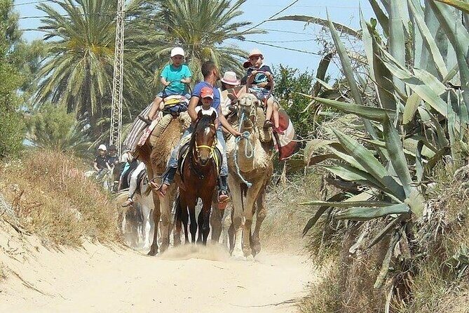 Discovery ride on horseback or camel 2h30 - Pickup, meeting point, and how to avoid transfer surprises