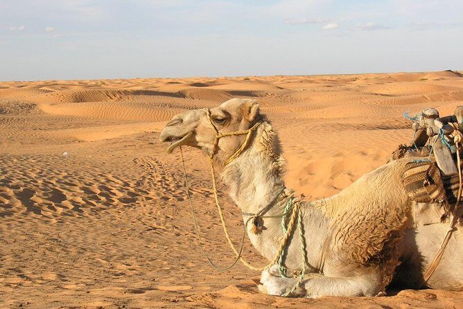 Door of the tunisian desert Ksar Ghilane and Matmata: Full one Day - Key things I’d watch for before you go