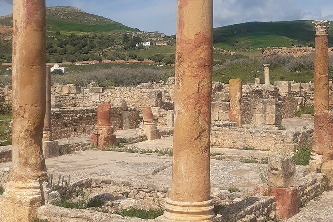 Dougga and Bulla Regia Guided Tour From Tunis - Food, Comfort, and Timing: How to Make the Day Easier on Yourself