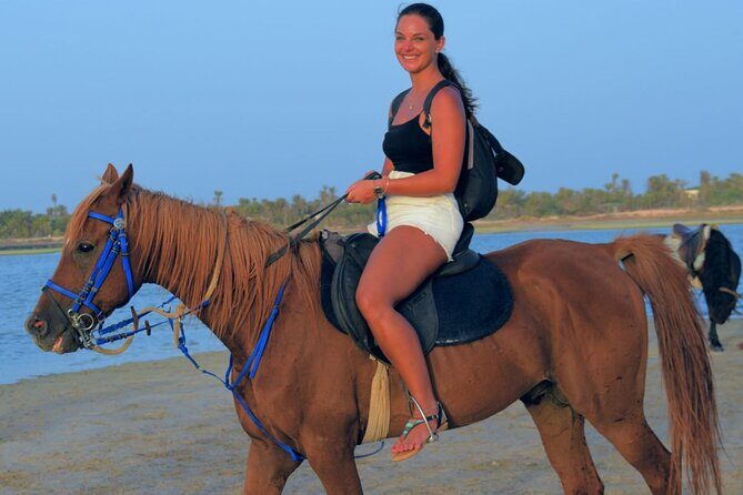 Explore Djerba by camel and horse - Key highlights I’d focus on