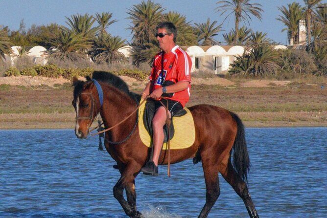 Explore Djerba by camel and horse - How The Pickup And Ranch Setup Works At Hôtel Dar el Manara