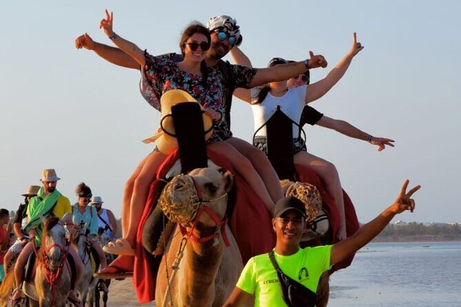 Explore Djerba by camel and horse - Lagoon Stop And Photo Time, Plus Optional Sunset