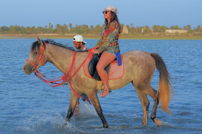 Explore Djerba by camel and horse - Return Options: Can You Switch Animals For Comfort?