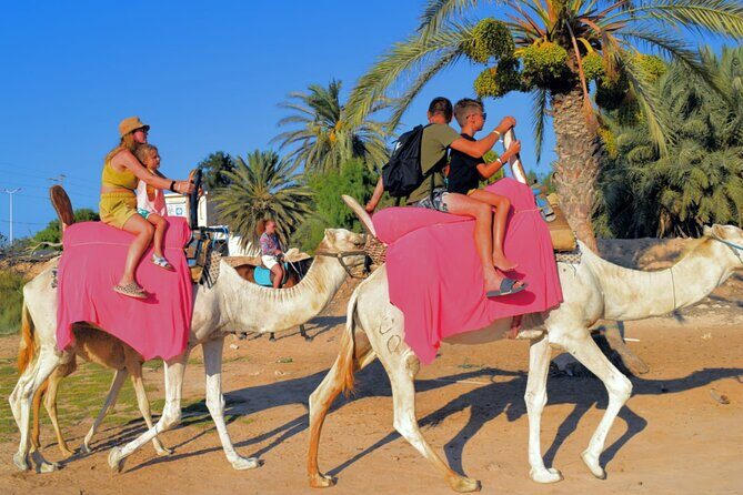 Explore Djerba by camel and horse - Who This Is Best For (And Who Should Think Twice)
