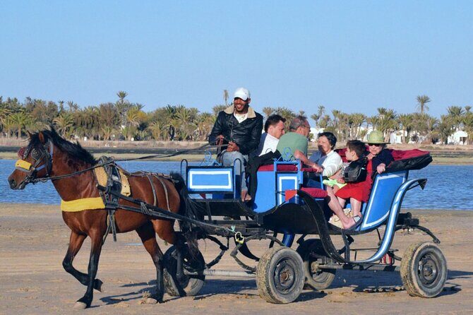 Explore Djerba by camel and horse - Practical Tips To Make Your Camel Or Horse Ride Smooth