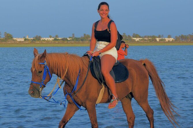 Explore Djerba by camel and horse - Following Berber Tracks Toward The Lagoon: What You See On The Way