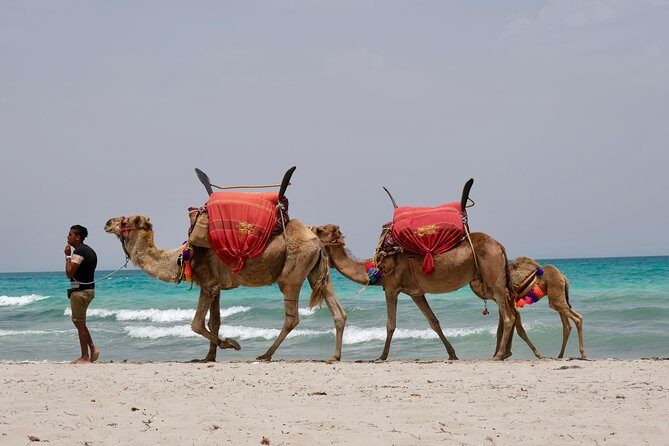 From Djerba : 1 day in the footsteps of Star Wars "Mos Eisley" - Guellala Pottery Village: Where the Day Gets Hands-On