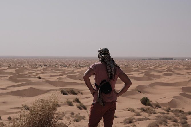 From Djerba : 2 Days desert tour with a night under a tent - Morning start: leaving Djerba with a driver and a guide